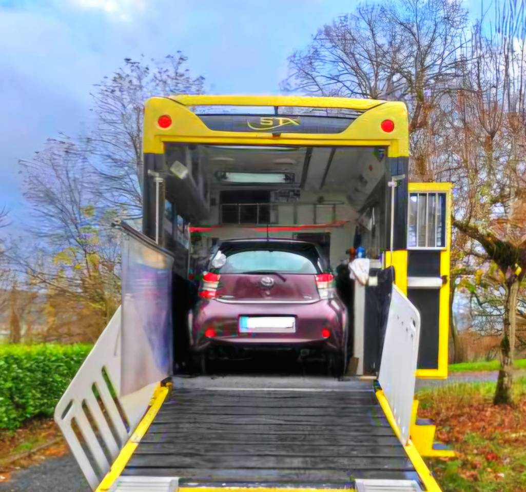 Camion per Cavalli Iveco STRALIS 19/360 2012 Occasione