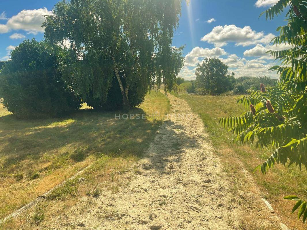 Centro di stagione cavallo In vendita Indre-et-Loire