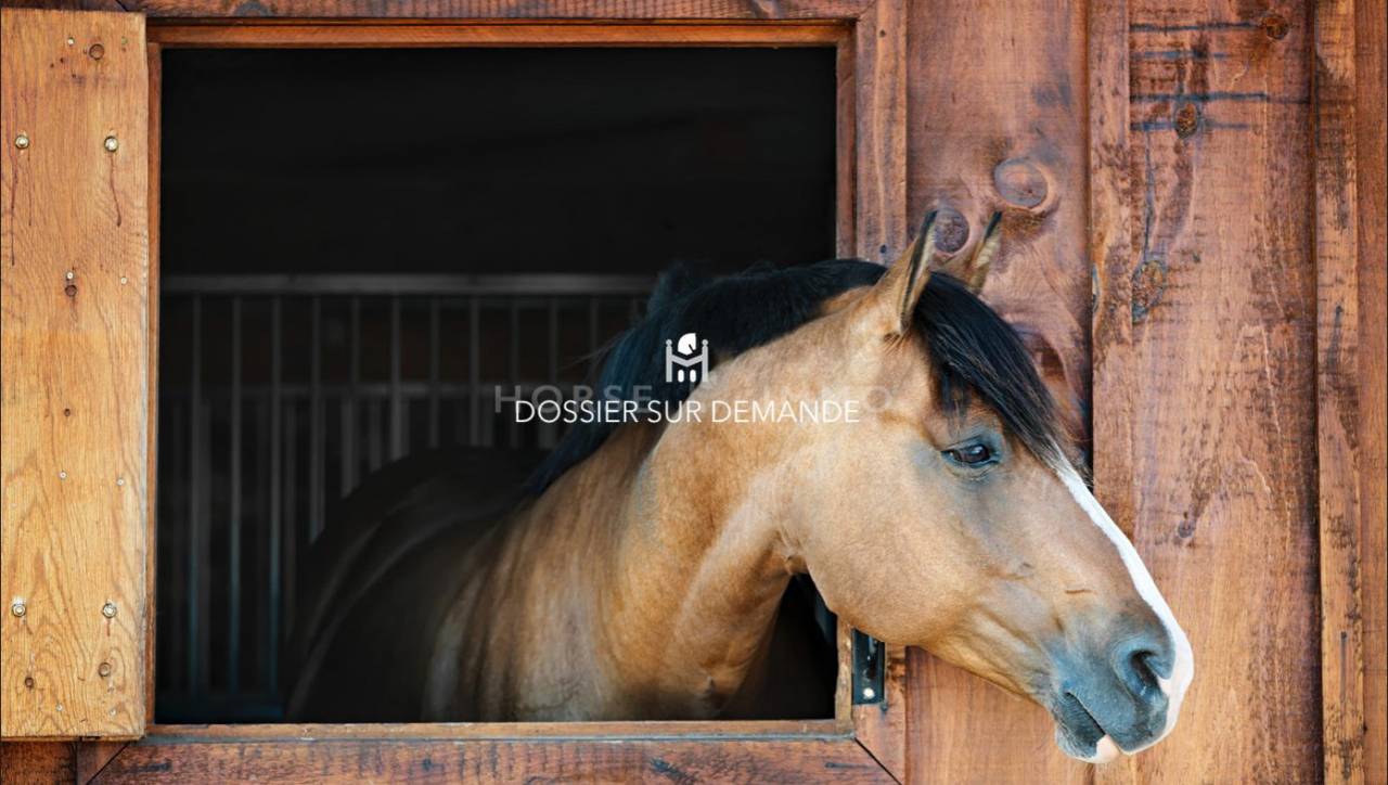 Centro di stagione cavallo In vendita Indre-et-Loire