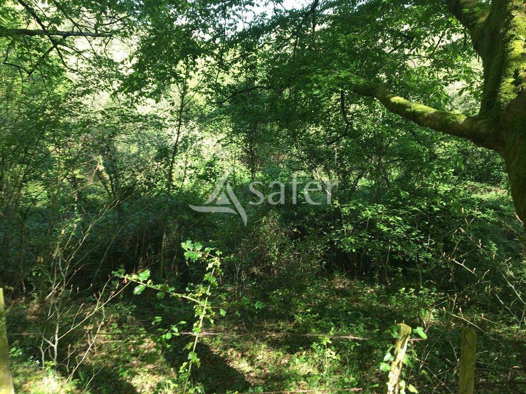 Proprietà rurale In vendita Corrèze