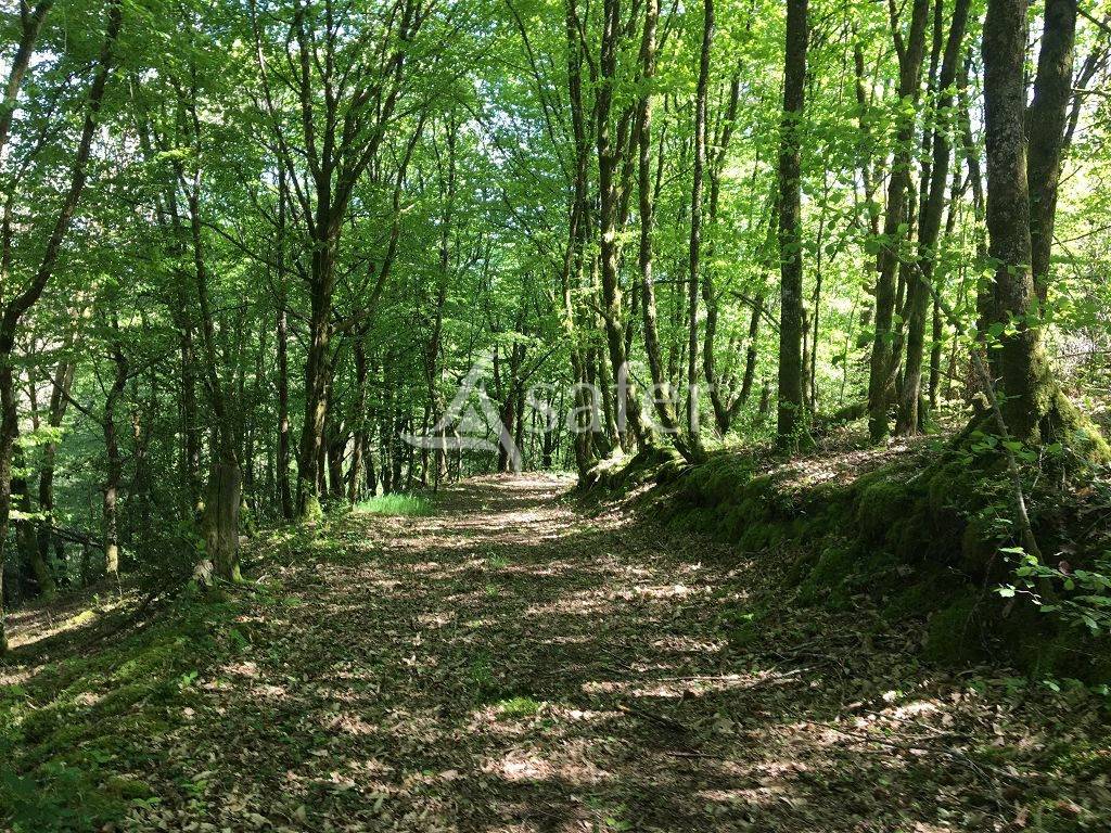 Proprietà rurale In vendita Corrèze