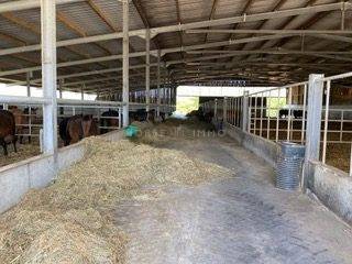 Proprietà equestre In vendita Morbihan