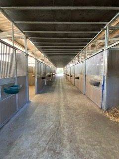 Proprietà equestre In vendita Morbihan