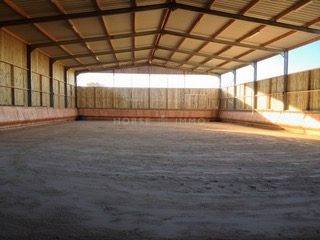 Proprietà equestre In vendita Morbihan