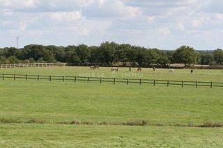 Propriet&agrave; equestre In vendita Morbihan