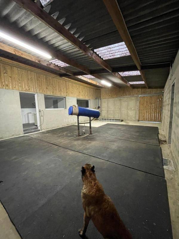 Propriet&agrave; equestre In vendita Morbihan