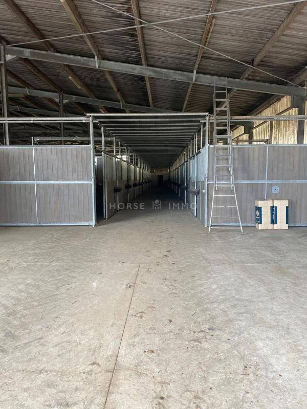 Propriet&agrave; equestre In vendita Morbihan