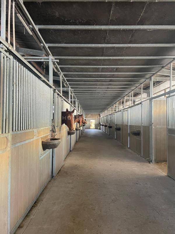 Propriet&agrave; equestre In vendita Morbihan