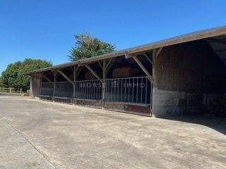 Propriet&agrave; equestre In vendita Morbihan