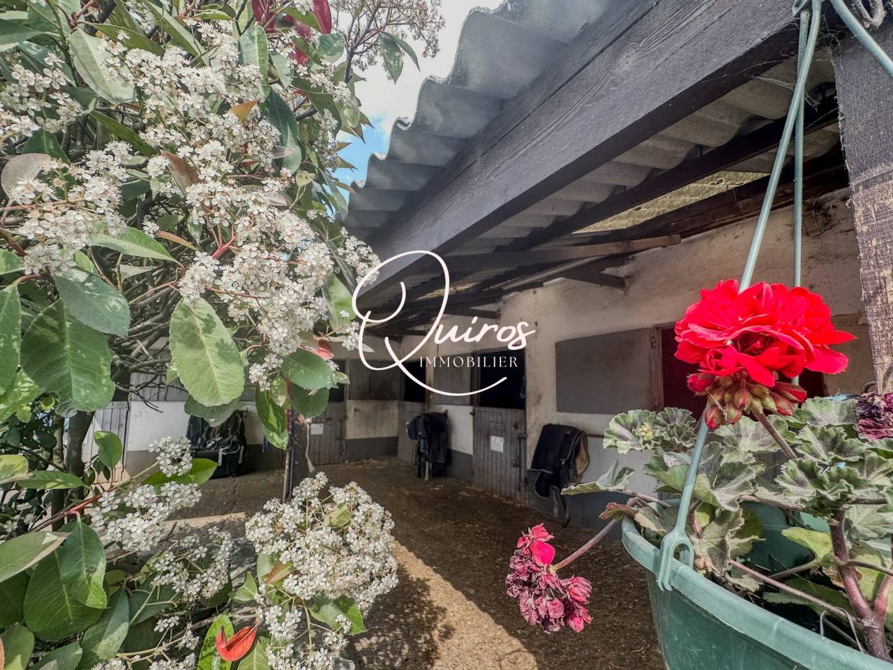 Proprietà equestre In vendita Yvelines