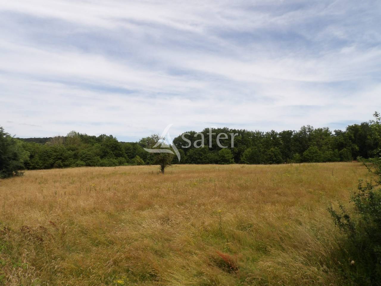 Azienda agricola In vendita Essonne