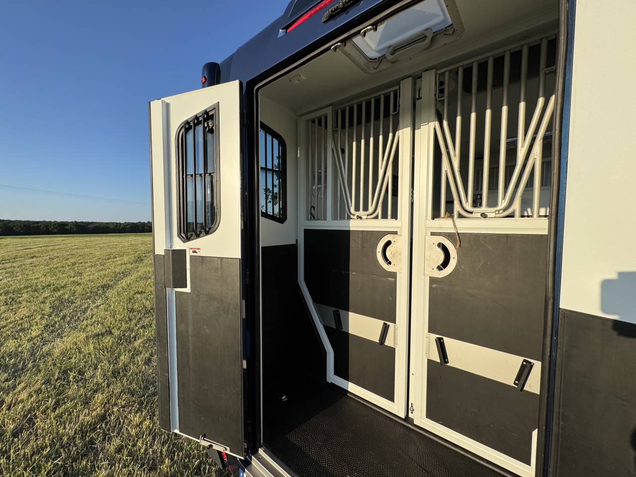 Van per Cavalli Theault Proteo Switch 5 places 2020 Occasione