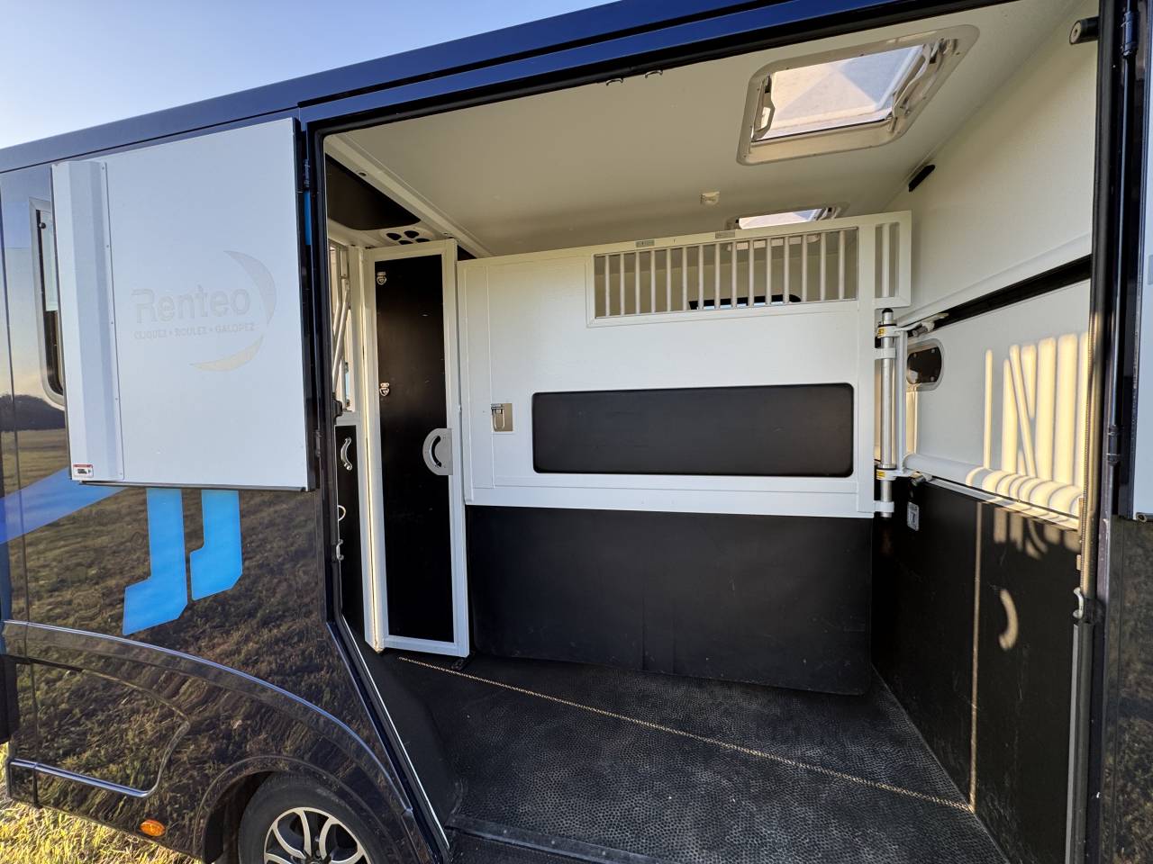 Van per Cavalli Theault Proteo Switch 5 places 2020 Occasione