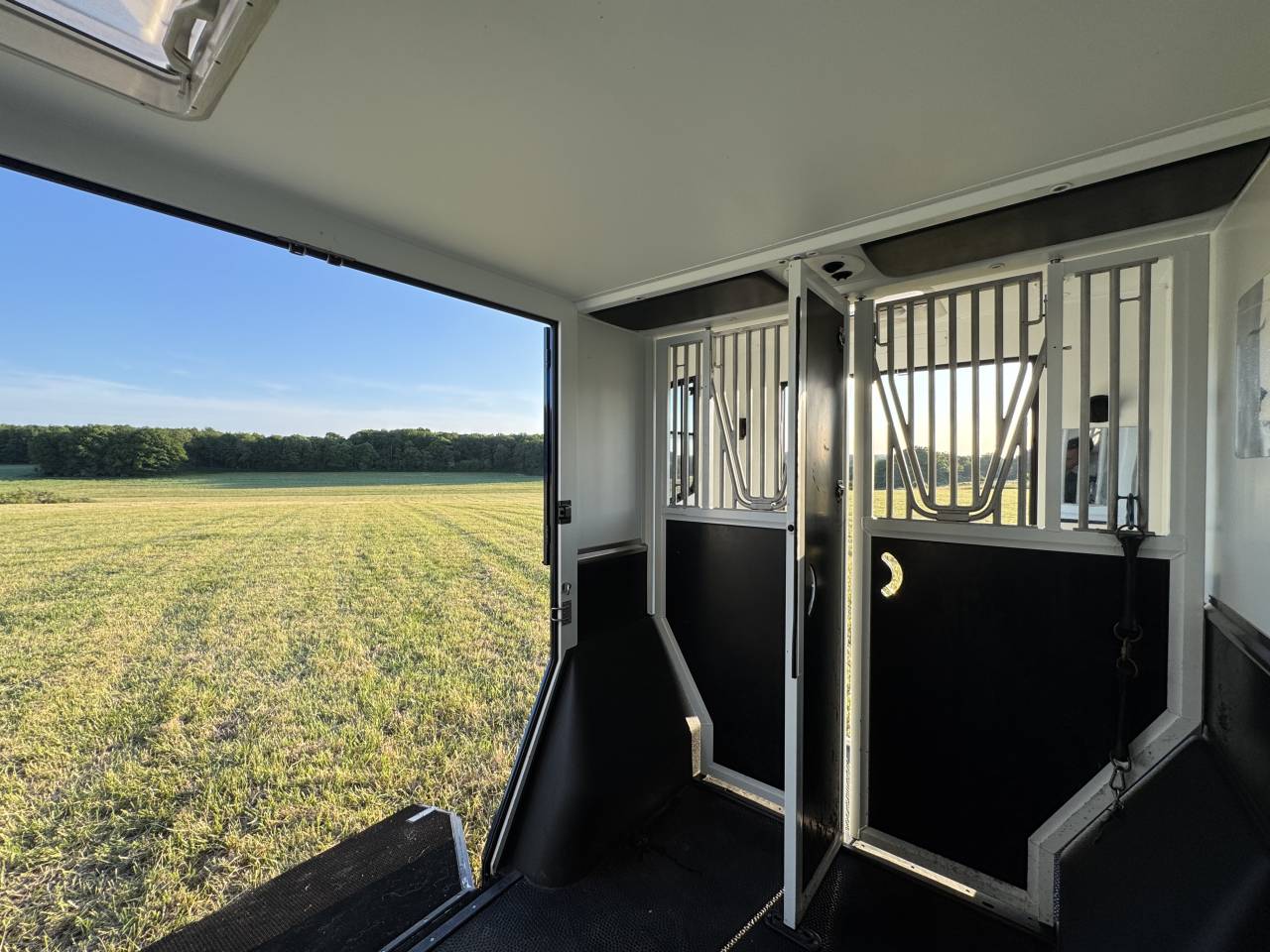 Van per Cavalli Theault Proteo Switch 5 places 2020 Occasione