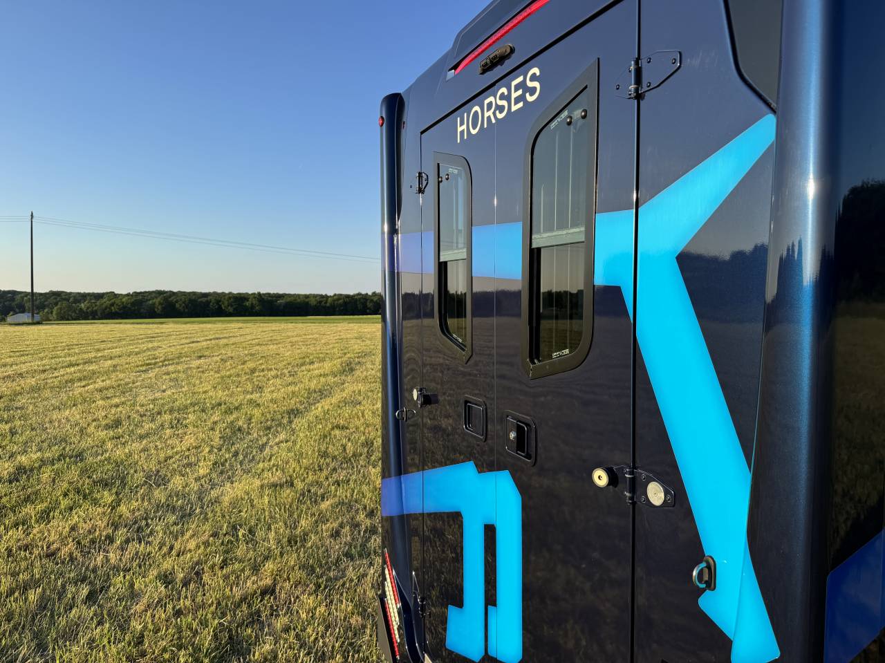 Van per Cavalli Theault Proteo Switch 5 places 2020 Occasione