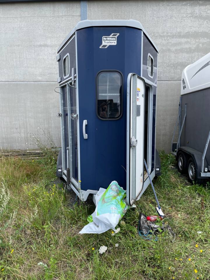 Trailer Ifor Williams HB 506 2 Cavalli 2017 Occasione