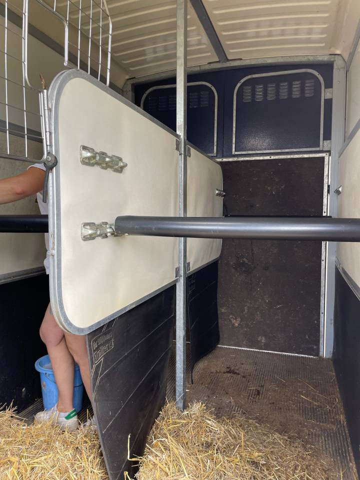 Trailer Ifor Williams HB 506 2 Cavalli 2017 Occasione