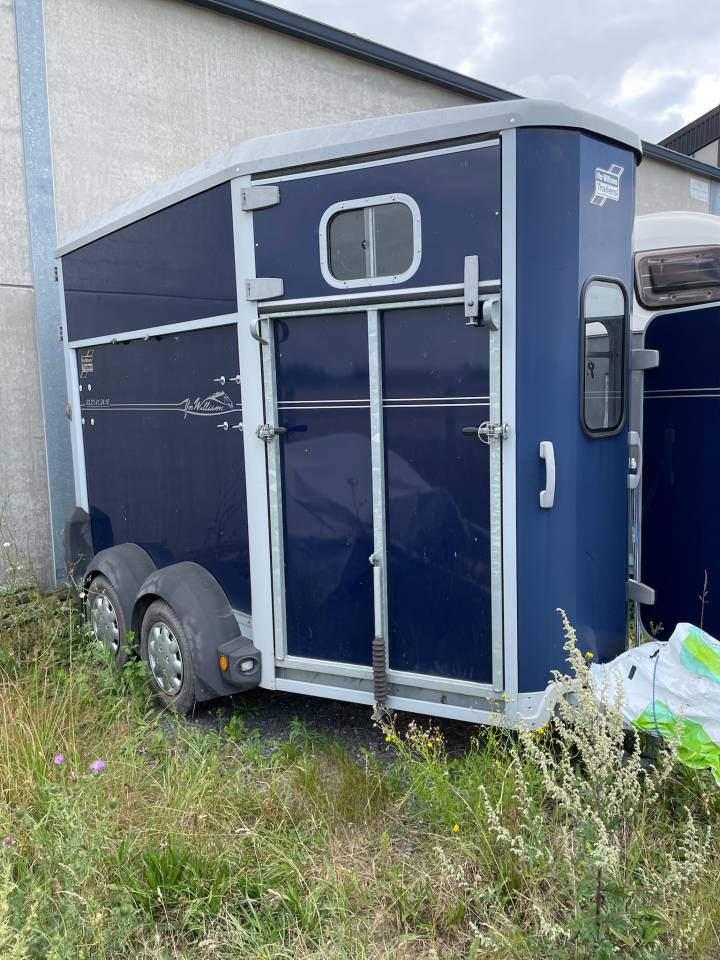 Trailer Ifor Williams HB 506 2 Cavalli 2017 Occasione