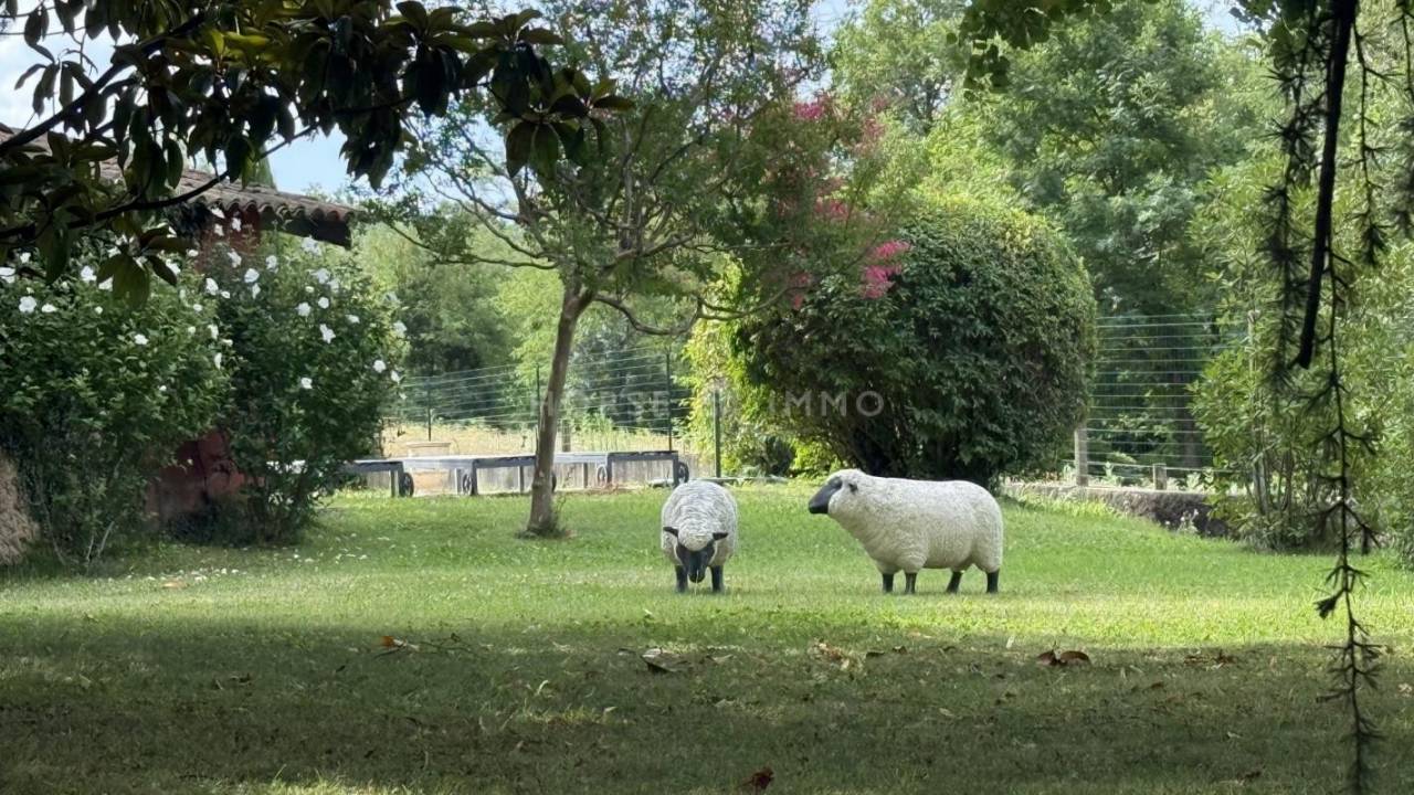 Proprietà equestre In vendita Drôme