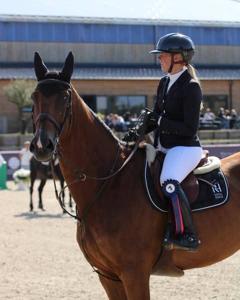 Castrone Sella Francese In vendita 2014 Baio ,  BALOUBET DU ROUET