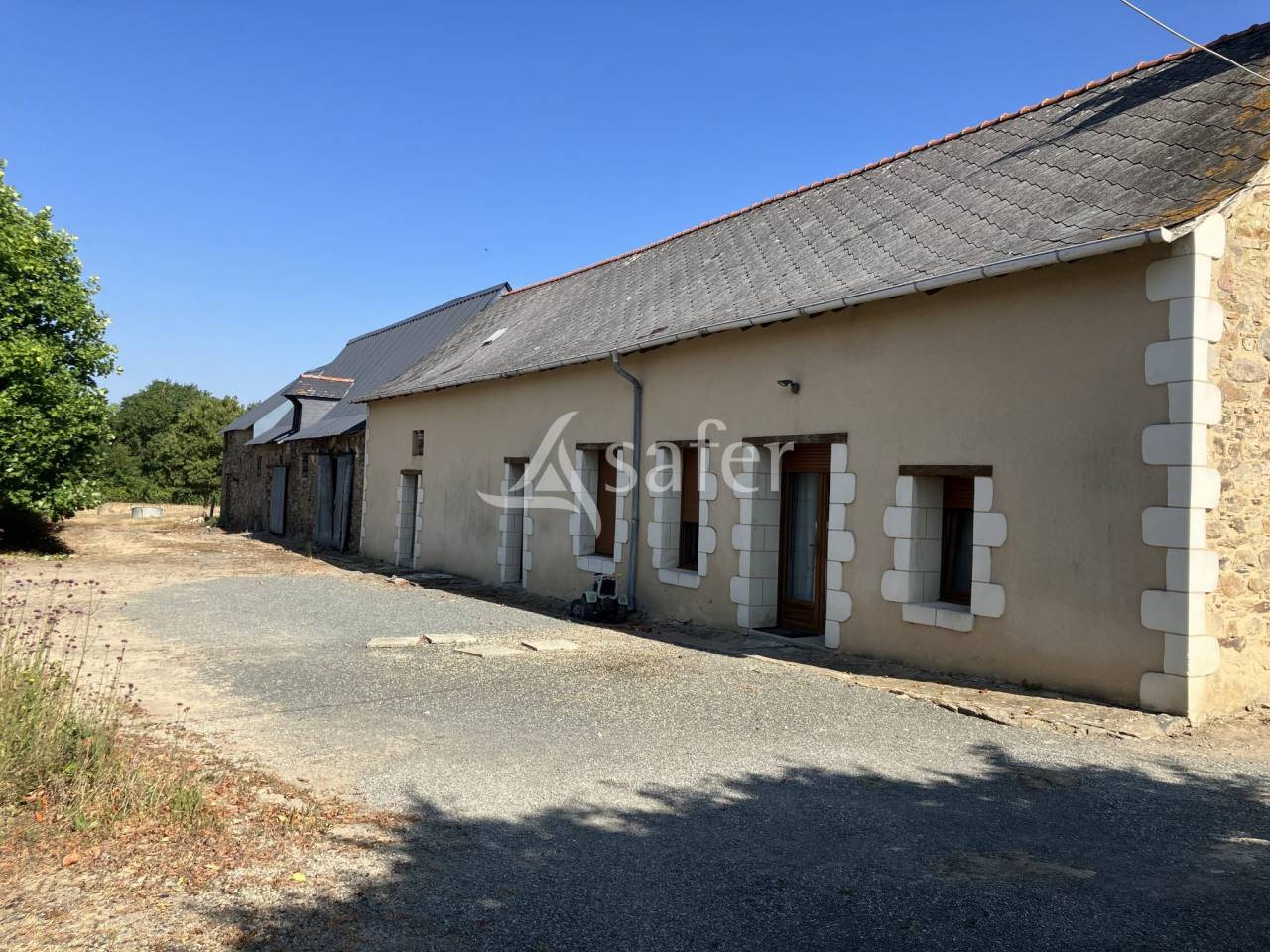 Azienda agricola In vendita Maine-et-Loire