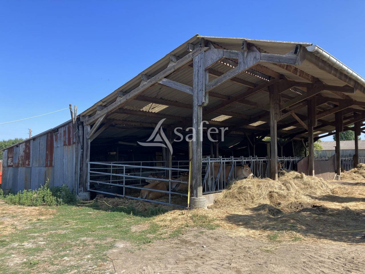 Azienda agricola In vendita Maine-et-Loire