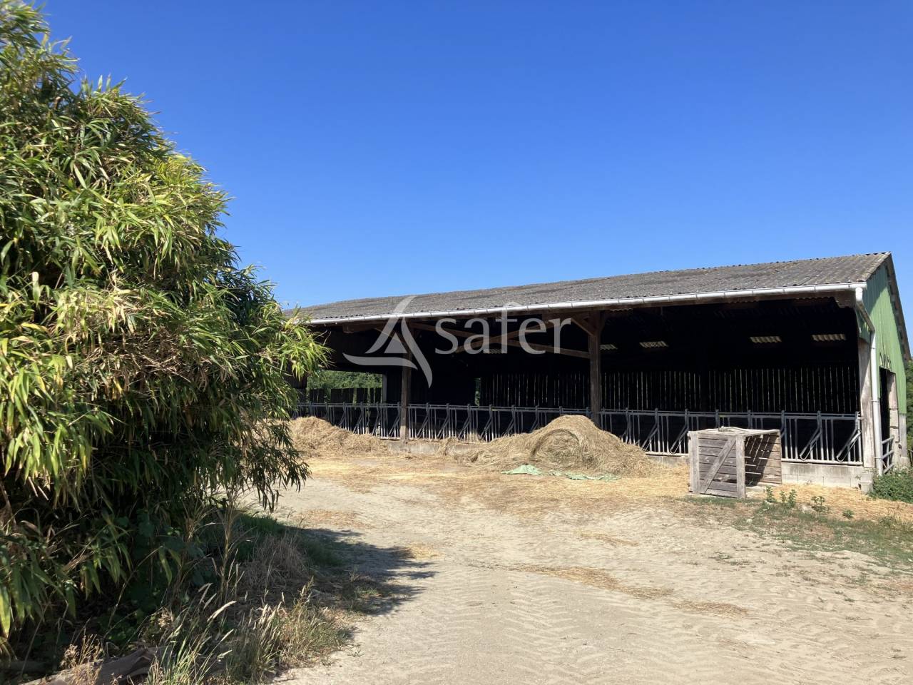 Azienda agricola In vendita Maine-et-Loire