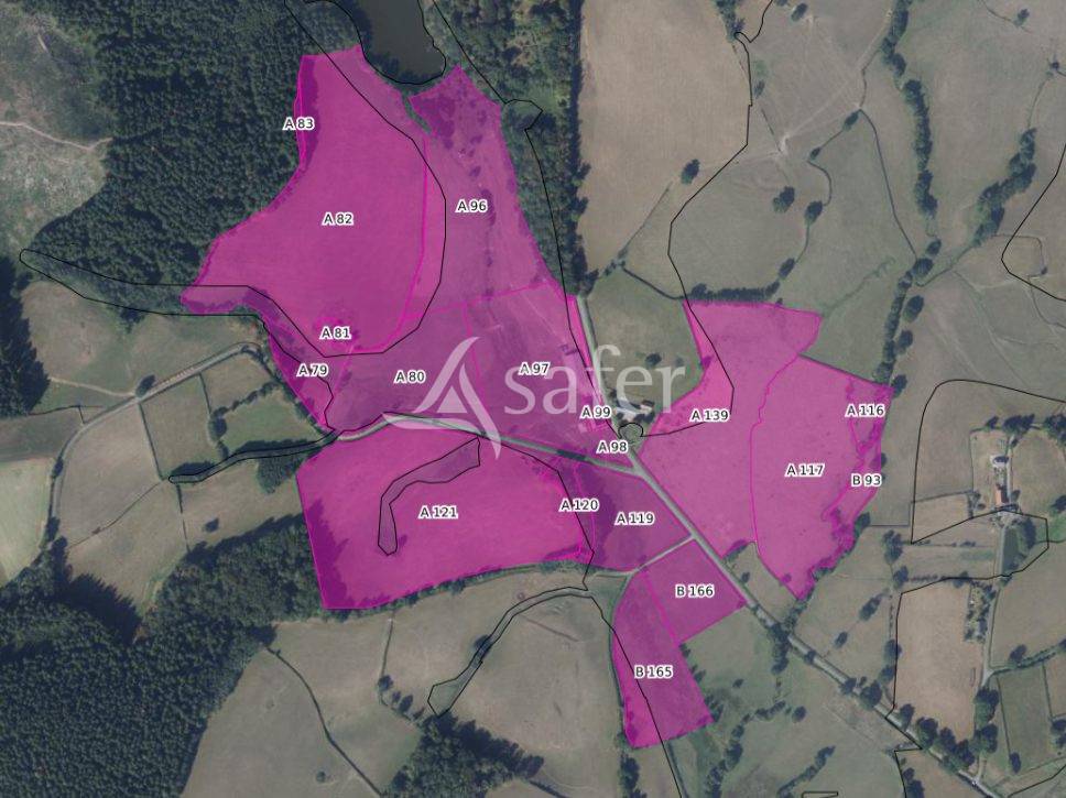 Azienda agricola In vendita Nièvre