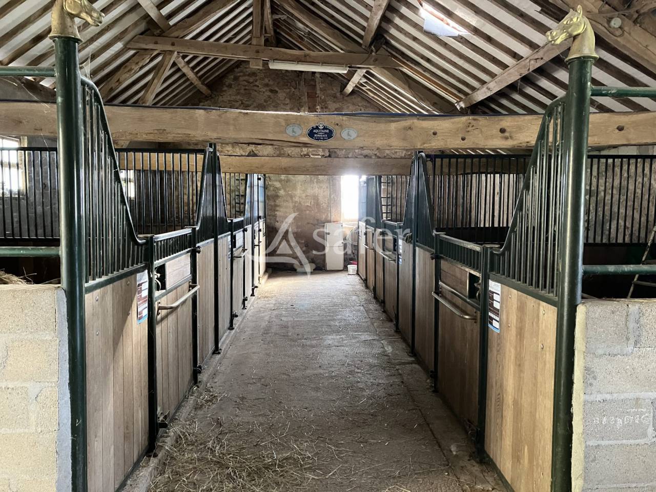 Azienda agricola In vendita Nièvre