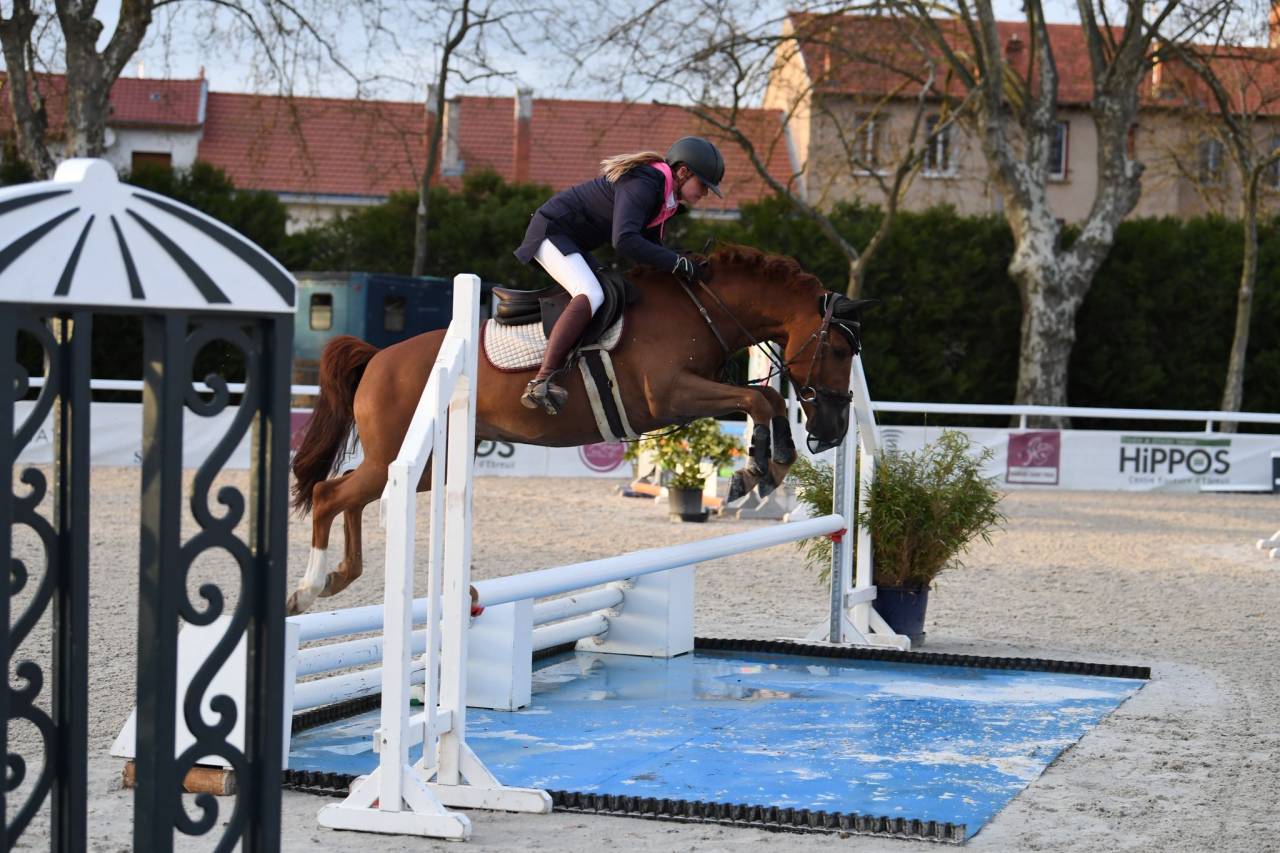Castrone PFS Pony Francese da Sella In vendita 2019 Sauro ,  royal du bourray