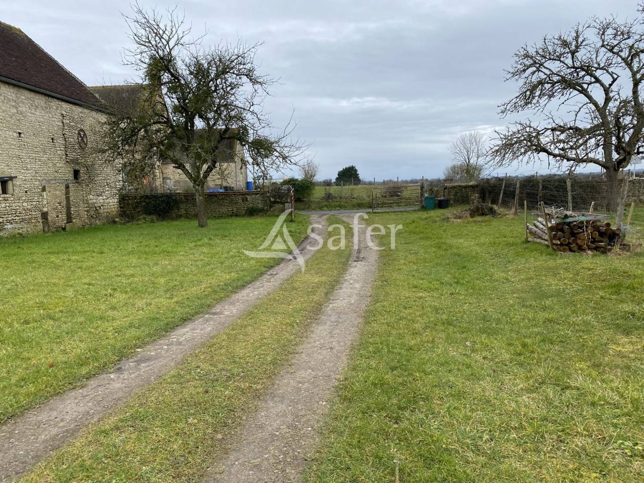 Azienda forestale In vendita Orne