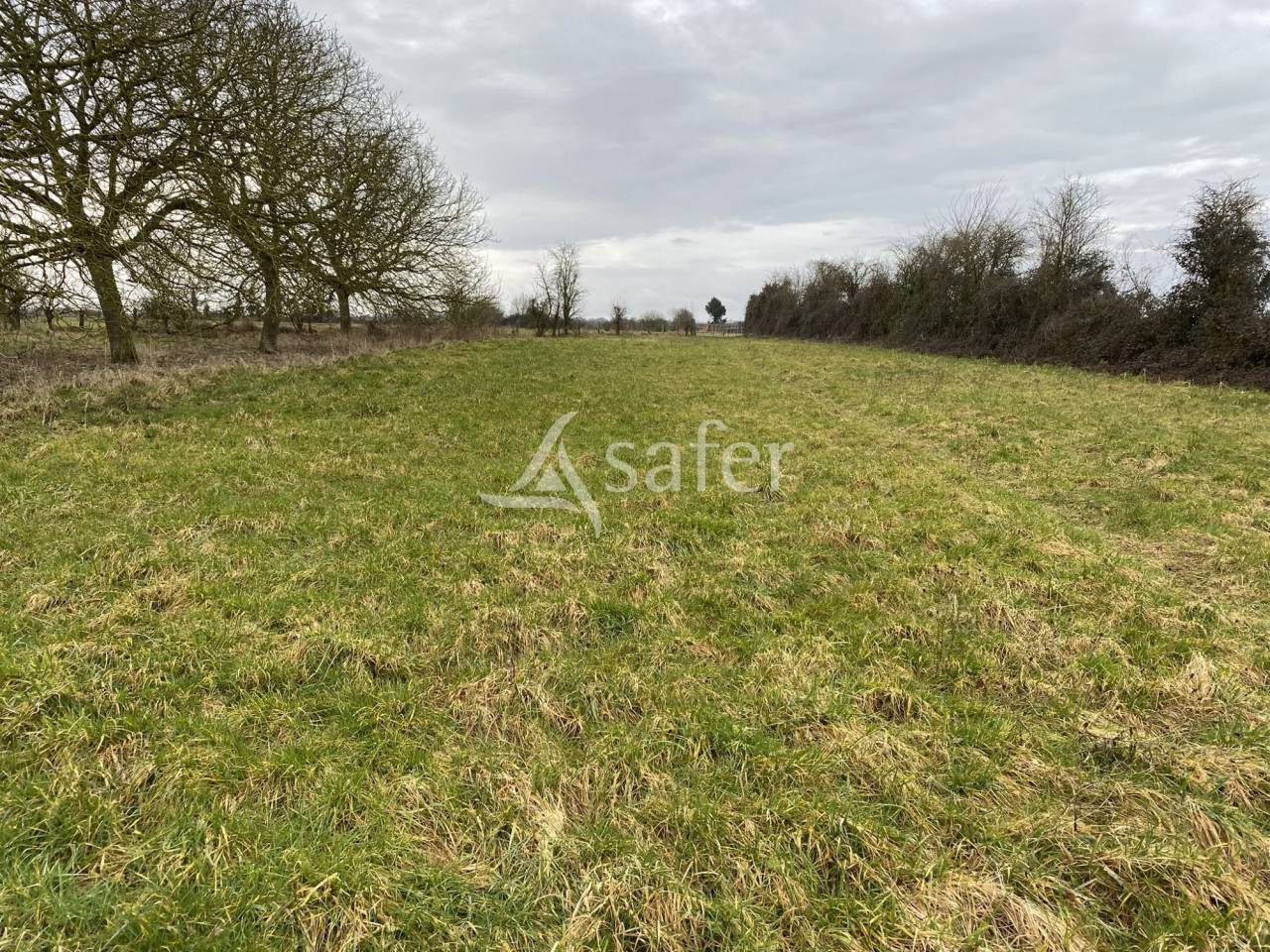 Azienda forestale In vendita Orne