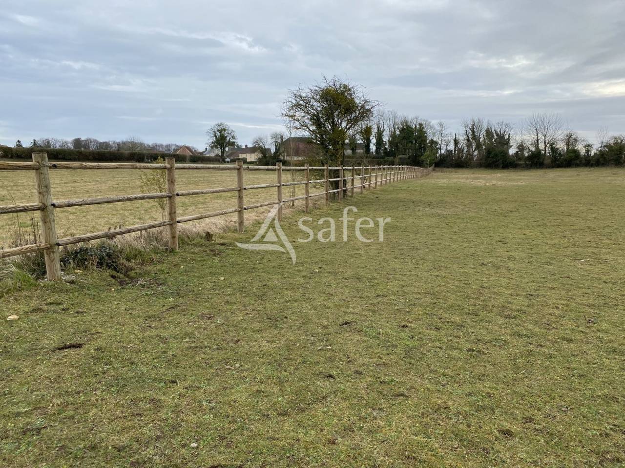 Azienda forestale In vendita Orne