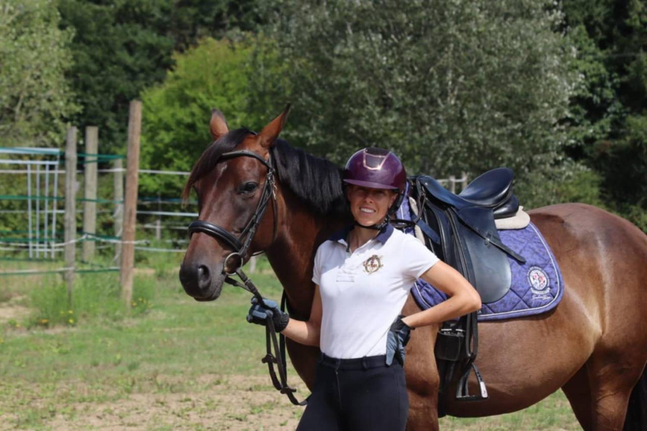 Cavalla Sella Francese In vendita 2020 Baio ,  dexter du neuhof (oes)