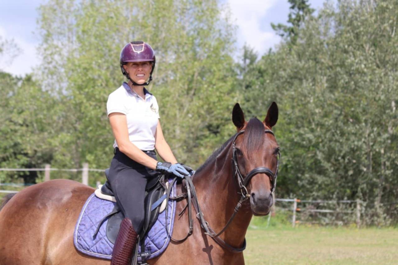 Cavalla Sella Francese In vendita 2020 Baio ,  dexter du neuhof (oes)