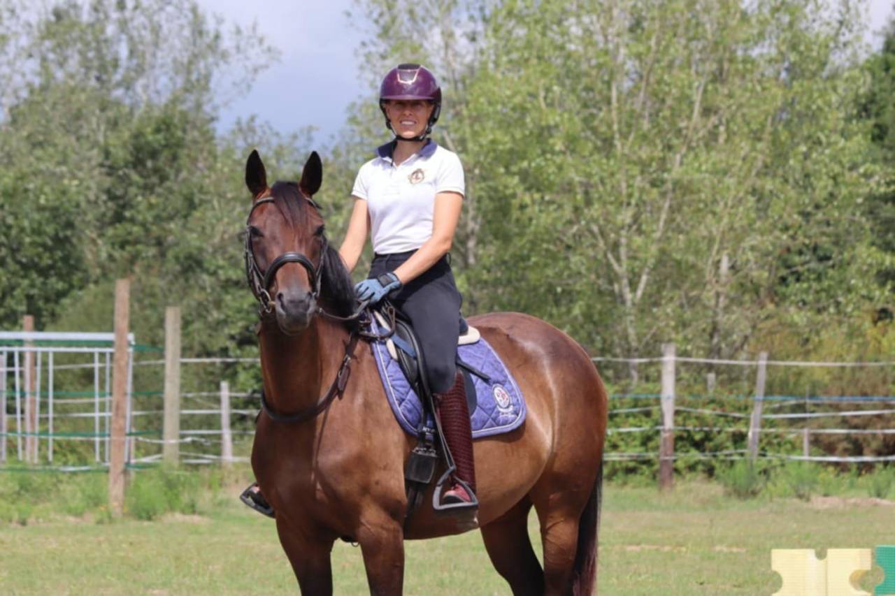 Cavalla Sella Francese In vendita 2020 Baio ,  dexter du neuhof (oes)