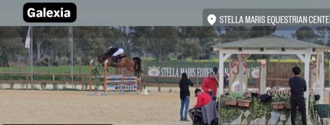 Galexia Kwpn 14 anni Roma 