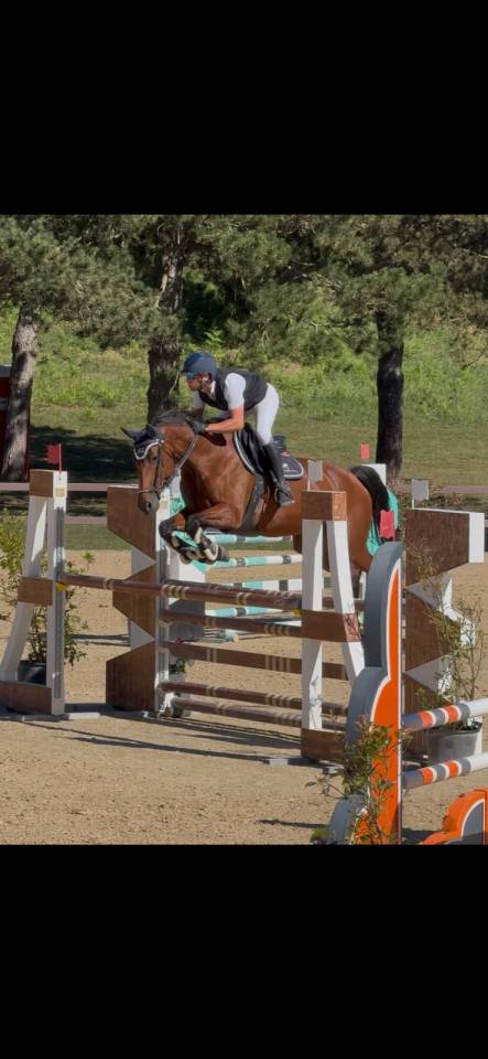 Galexia Kwpn 14 anni Roma 