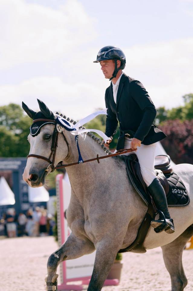 Cavalla Sella Francese In vendita 2018 Grigio