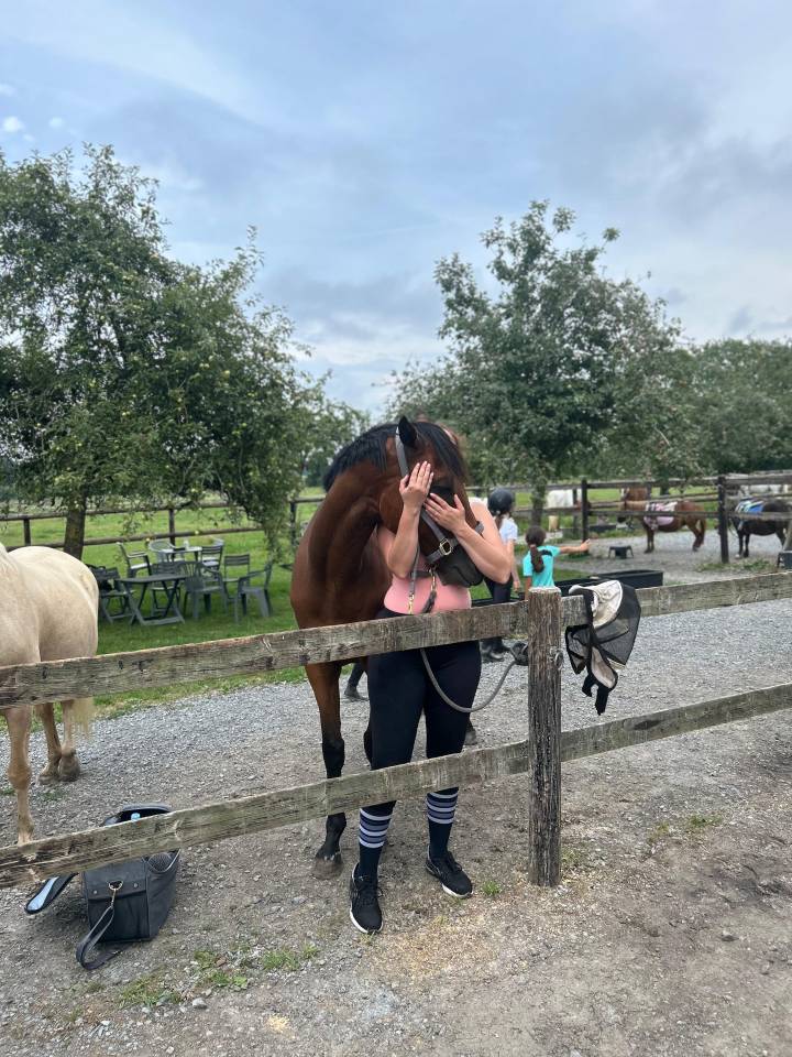 Castrone Purosangue Irlandese In vendita 2020 Baio