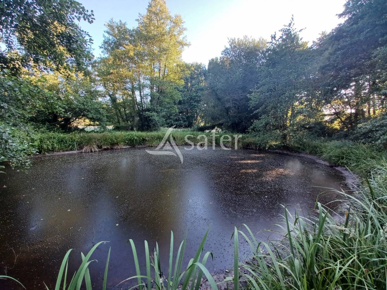Proprietà equestre In vendita Landes