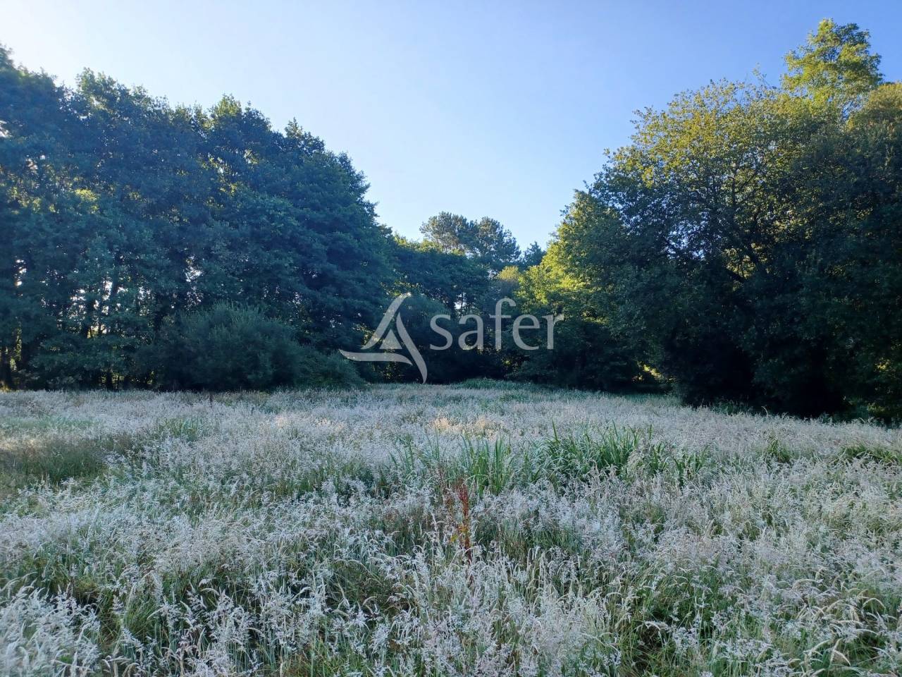 Proprietà equestre In vendita Landes