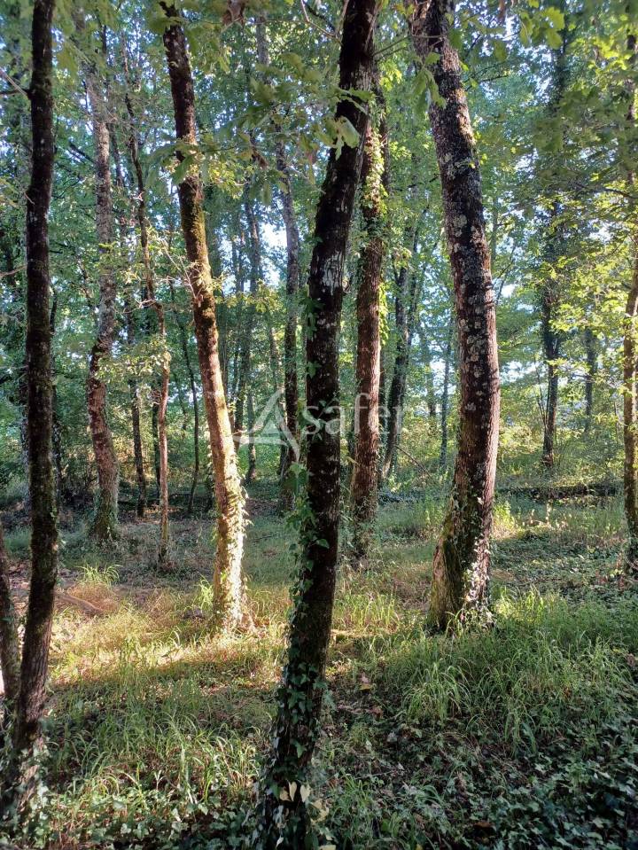 Proprietà equestre In vendita Landes