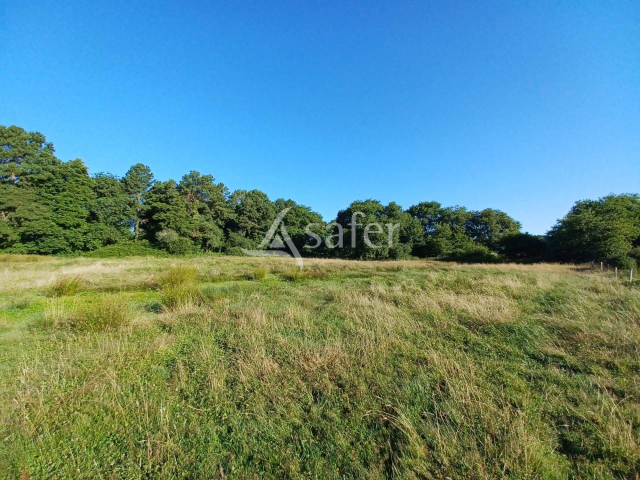 Proprietà equestre In vendita Landes