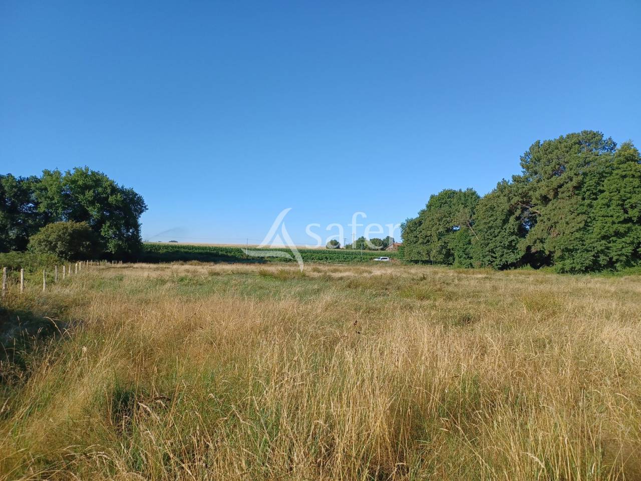 Proprietà equestre In vendita Landes