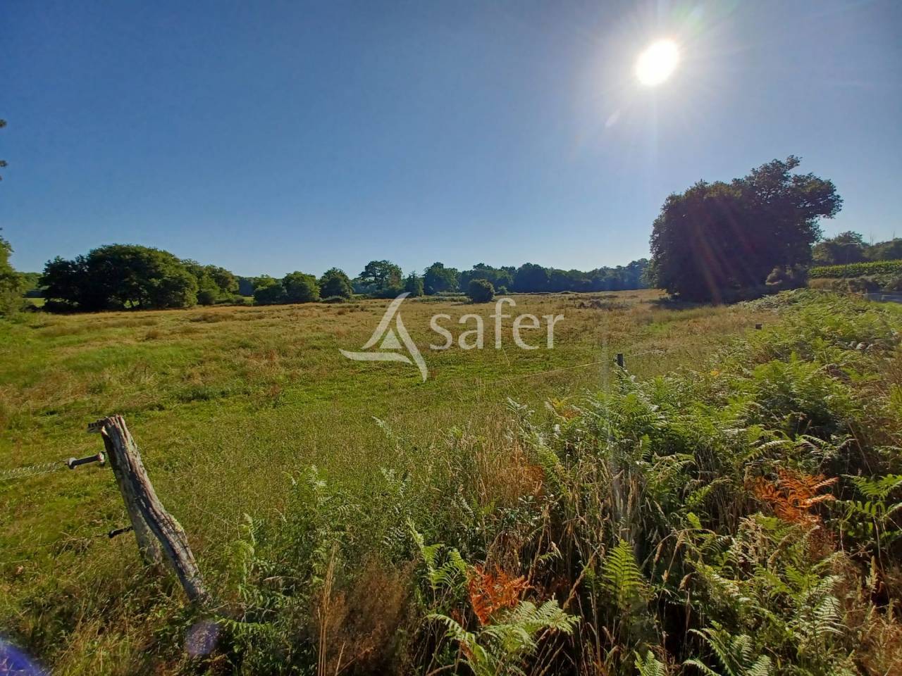 Proprietà equestre In vendita Landes