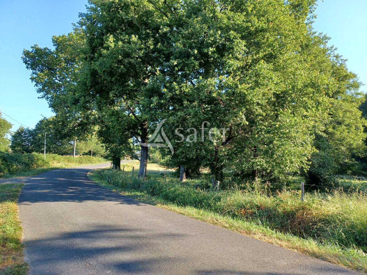 Proprietà equestre In vendita Landes