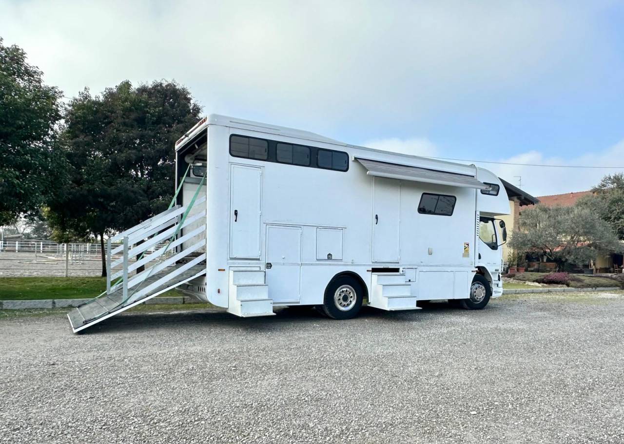 Camion per Cavalli Daf pop out  2003 Occasione