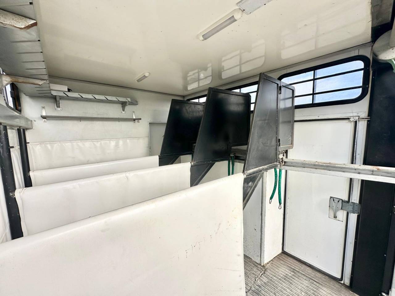 Camion per Cavalli Daf pop out  2003 Occasione