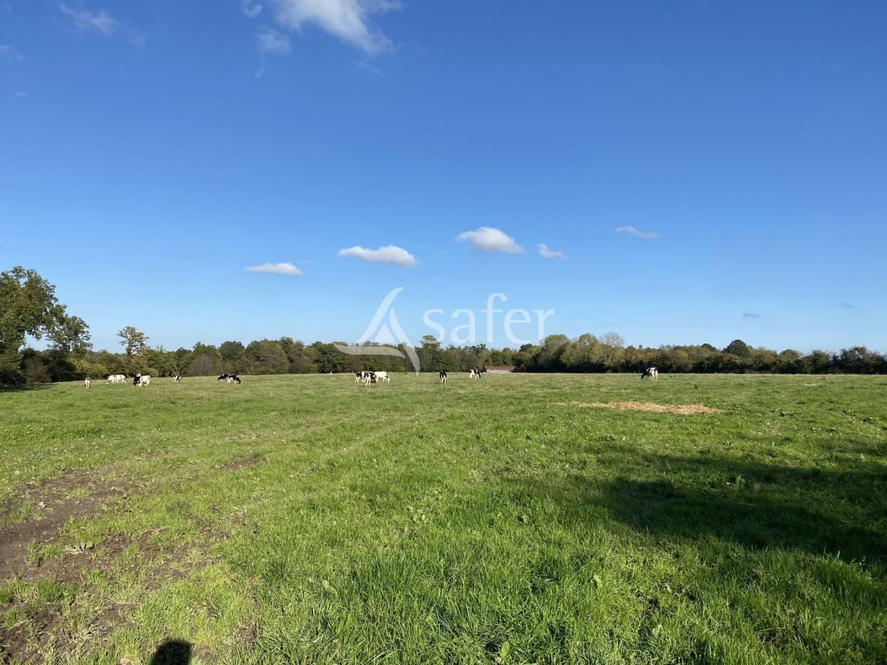Azienda agricola In vendita Calvados